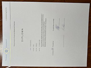 蒂尔堡大学文凭-Tilburg University diploma