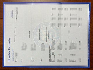 美国布兰迪斯大学成绩单