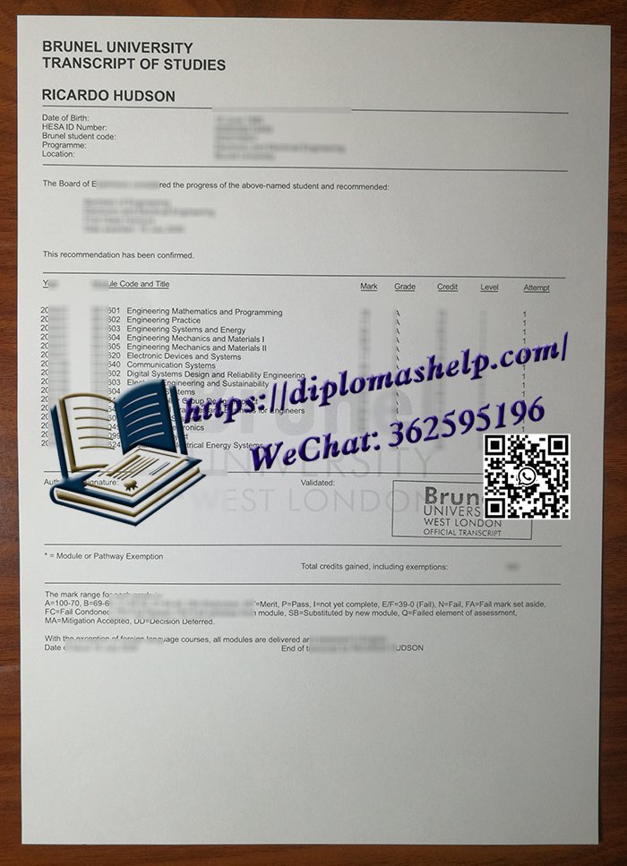 布鲁内尔大学成绩单