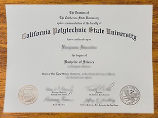 加州理工州立大学毕业证书
