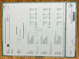 美国加州州立理工大学波莫纳分校成绩单