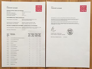 Cardiff University transcript