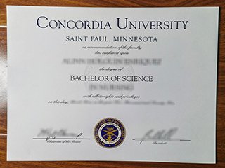 协和大学圣保罗分校毕业证书