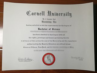 康乃尔大学毕业证书