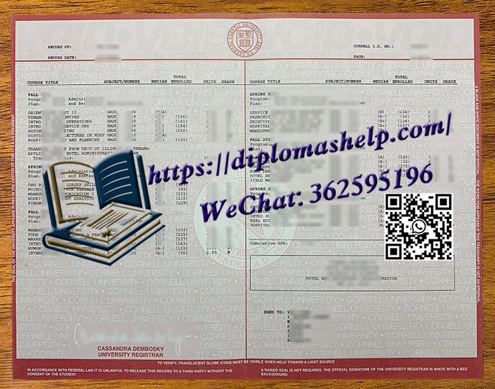 康乃尔大学成绩单