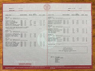 美国康乃尔大学成绩单