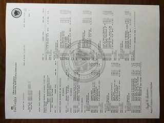 美国东卡罗来纳大学成绩单