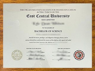 东部中央大学毕业证书