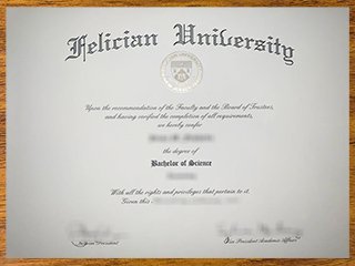 费利西安大学毕业证书