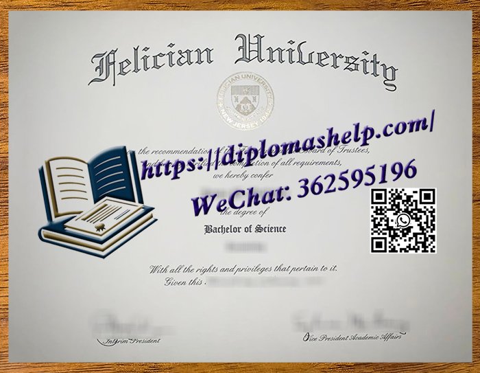 费利西安大学文凭