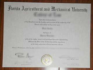 佛罗里达农工大学毕业证书