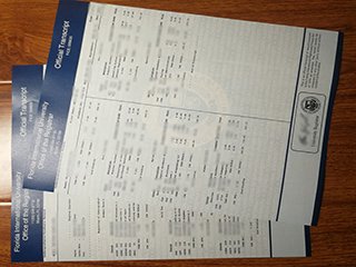 美国佛罗里达国际大学成绩单