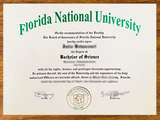 佛罗里达国立大学毕业证书