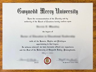 格威内思梅西大学毕业证书