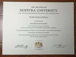 霍夫斯特拉大学毕业证书