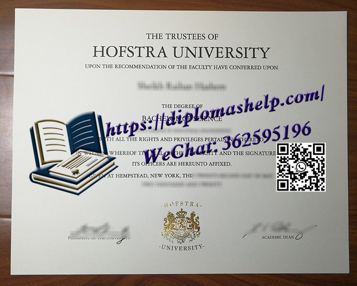 霍夫斯特拉大学文凭