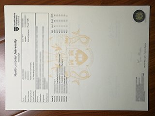 英国诺桑比亚大学成绩单