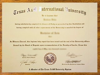 德克萨斯农工国际大学毕业证书