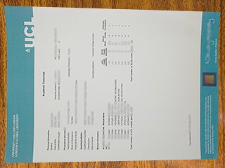伦敦大学学院成绩单