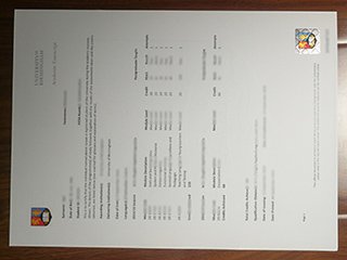 University of Birmingham transcript