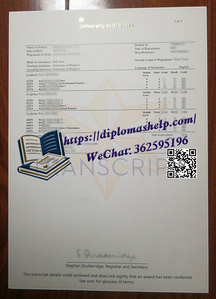 布莱顿大学成绩单