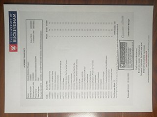 白金汉大学官方成绩单