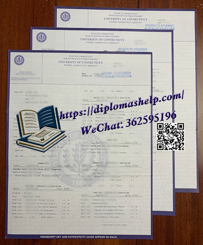 康涅狄格大学成绩单