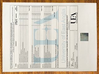 东安格利亚大学官方成绩单