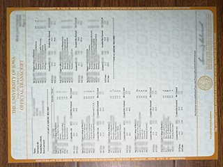 美国爱荷华大学成绩单