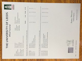 英国利兹大学成绩单