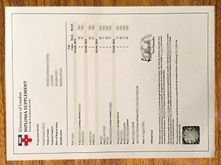 英国伦敦大学成绩单