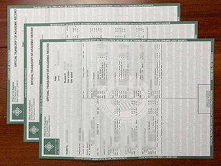 美国旧金山大学成绩单