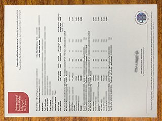 英国南威尔士大学成绩单