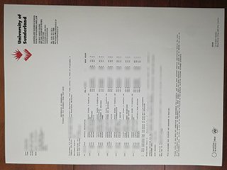 英国桑德兰大学成绩单