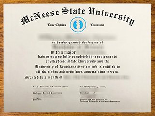 麦克尼斯州立大学毕业证书