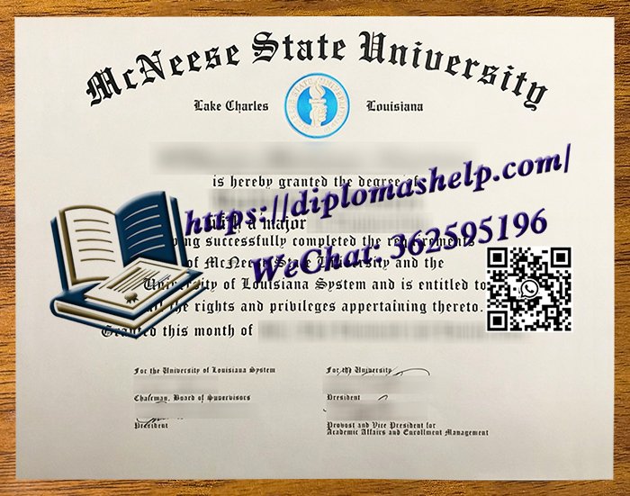 麦克尼斯州立大学文凭