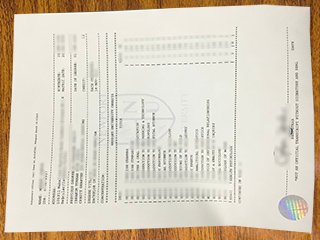 美国纽波特大学成绩单