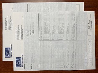 美国佩斯大学成绩单