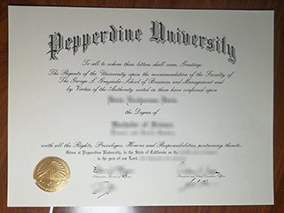 佩珀代因大学毕业证书