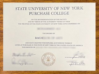 纽约州立大学帕切斯分校毕业证书