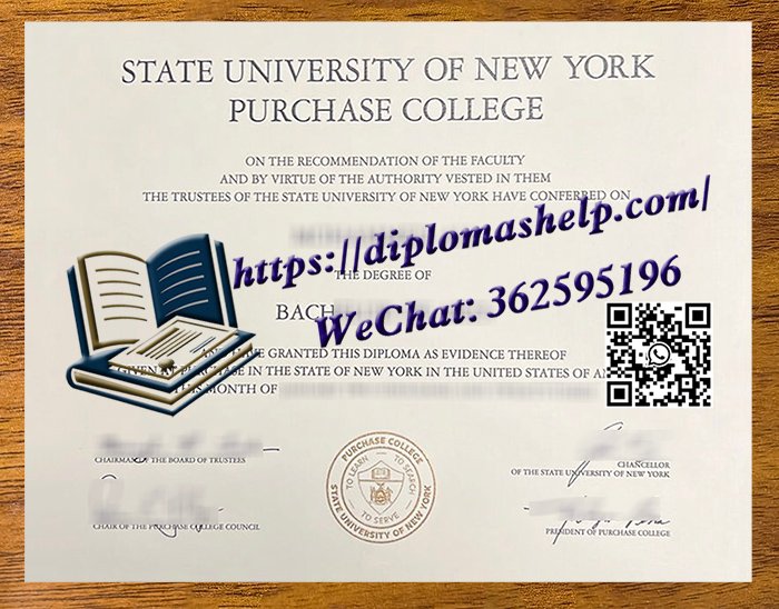 纽约州立大学帕切斯分校文凭