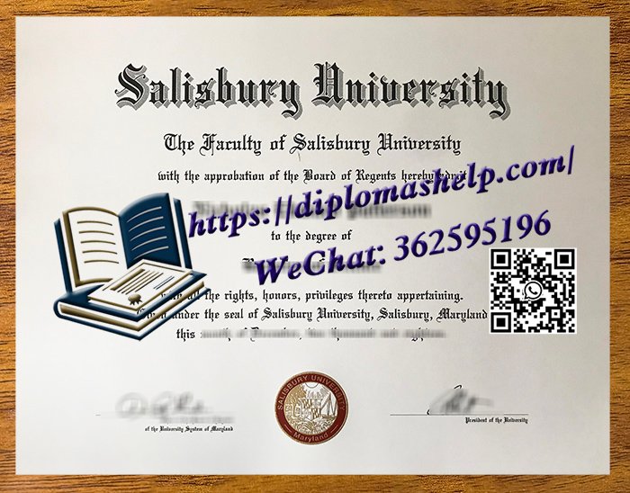 索尔兹伯里大学文凭