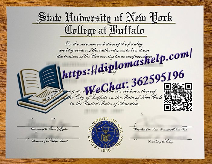 纽约州立大学布法罗学院文凭
