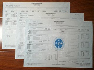 美国萨利文大学成绩单
