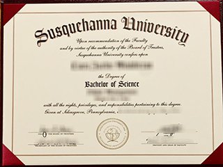 萨斯奎汉纳大学毕业证书