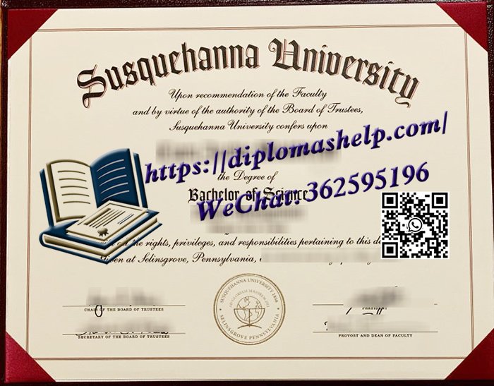 萨斯奎汉纳大学文凭