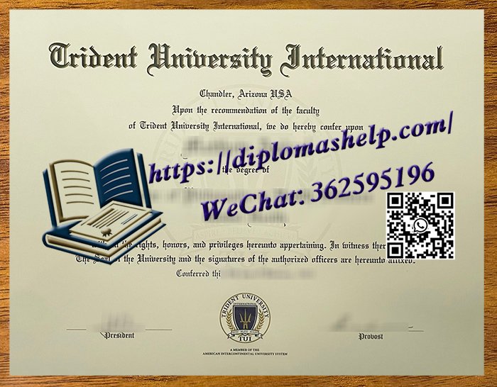 三叉戟国际大学文凭