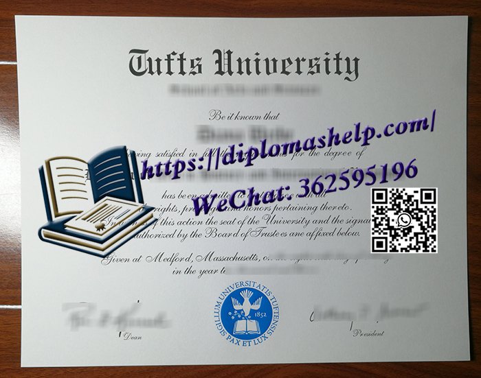塔夫茨大学文凭