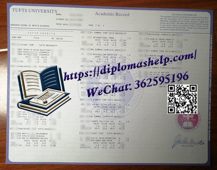 塔夫茨大学成绩单