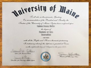 缅因大学毕业证书